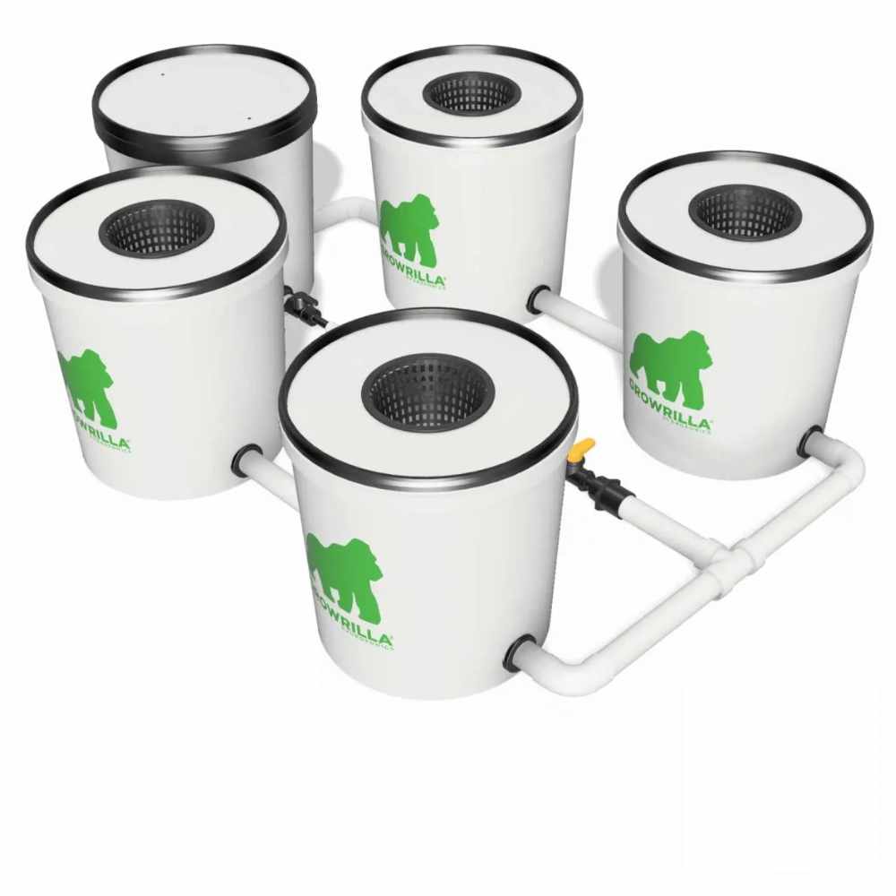 Aquaponic Design RDWC impianto idroponico da 1 a 18 vasi