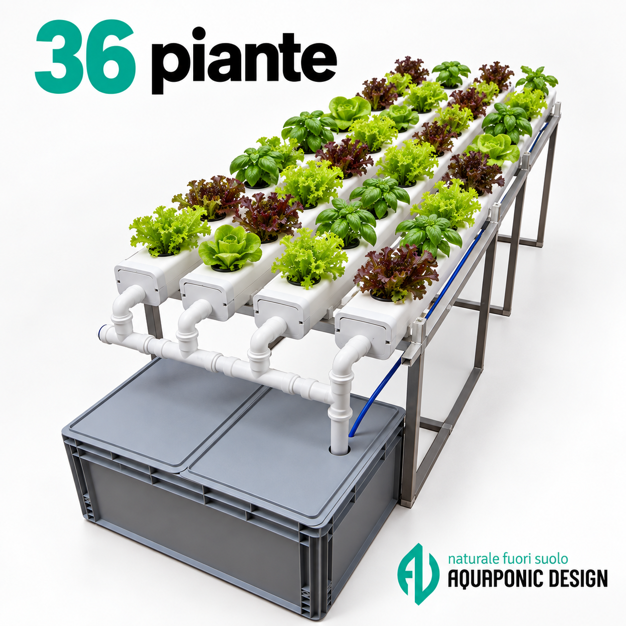 Aquaponic Design Canaline di coltivazione Impianto di idroponica con canaline NFT per 28–60 piante