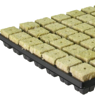 Aquaponic Design Substrati Cubetti di lana di roccia 40 mm 77 pezzi idroponica