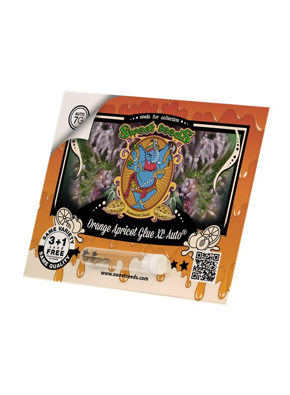 Sweet Seeds Semi autofiorenti Orange Apricot Glue XL Auto® semi femminizzati