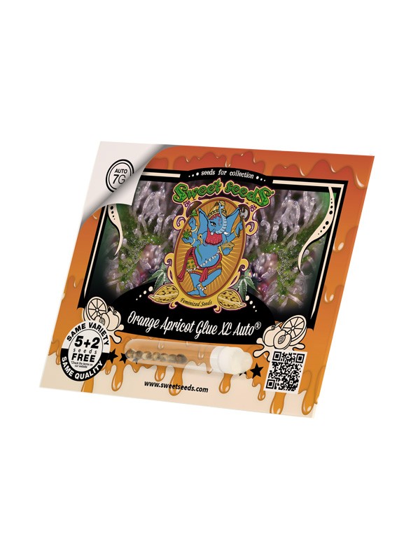 Sweet Seeds Semi autofiorenti Orange Apricot Glue XL Auto® semi femminizzati