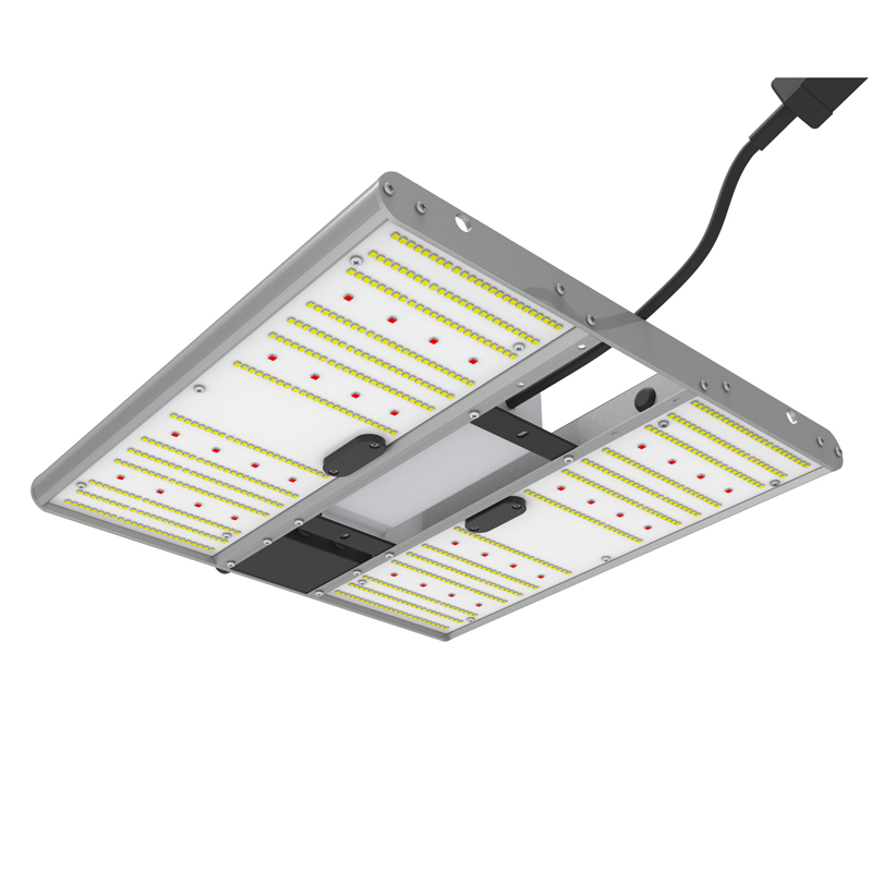 Ortoled Quantum Board EVO 150W lampada LED dimmerabile per 0,5–0,64 m²