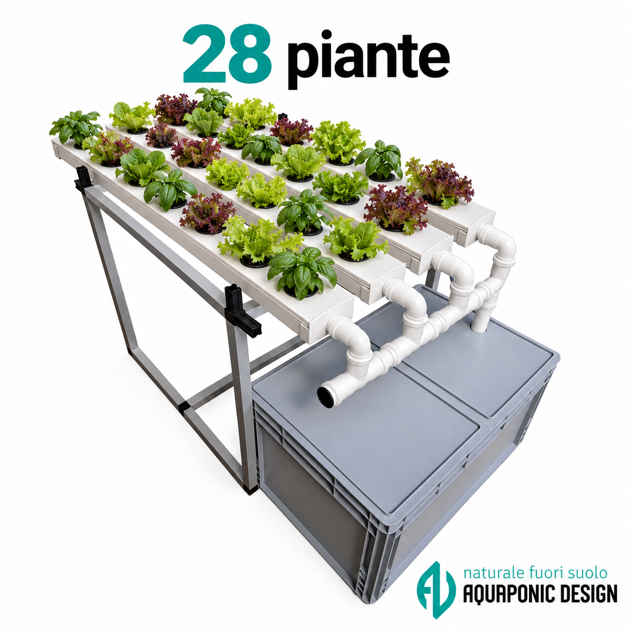 Aquaponic Design Canaline di coltivazione Impianto di idroponica con canaline NFT per 28–60 piante