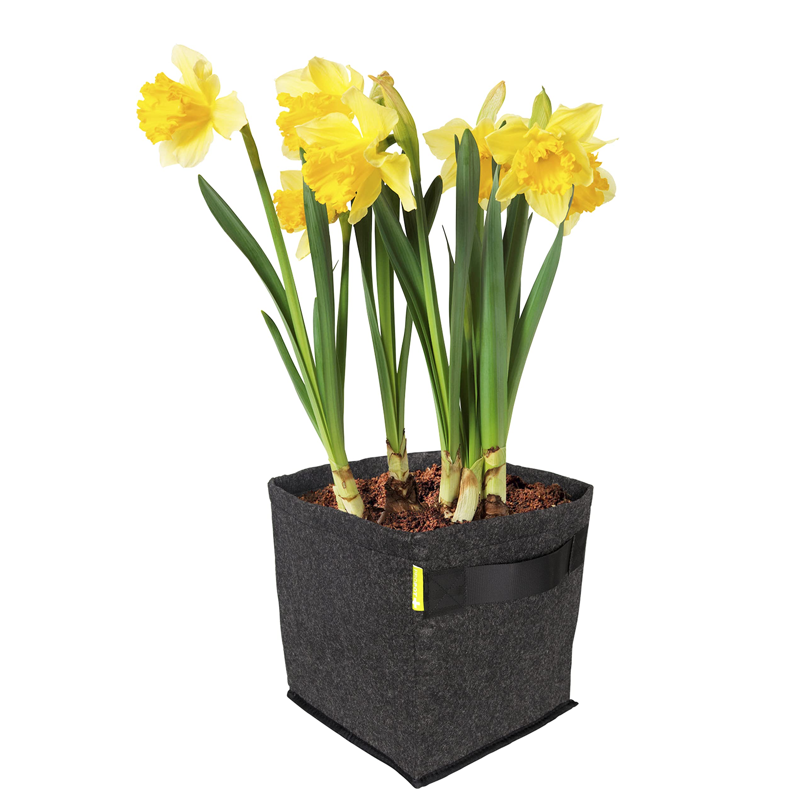 Garden HighPro PROPOT FABRIC POTS 20 L vaso tessile 26 x 26 x 30 cm PET riciclato