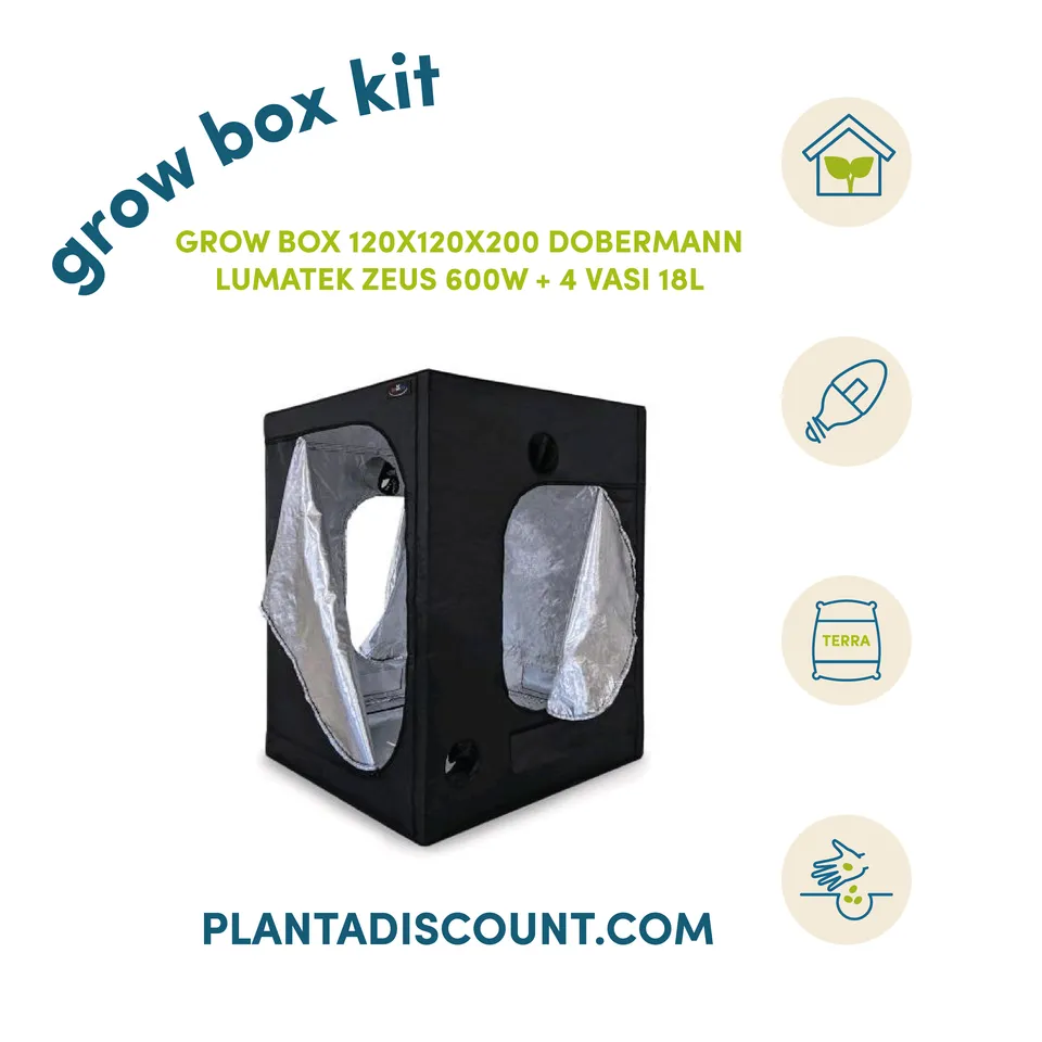 Grow Box Kit Led 600W kit grow box 120x120x200 cm con Lumatek Zeus