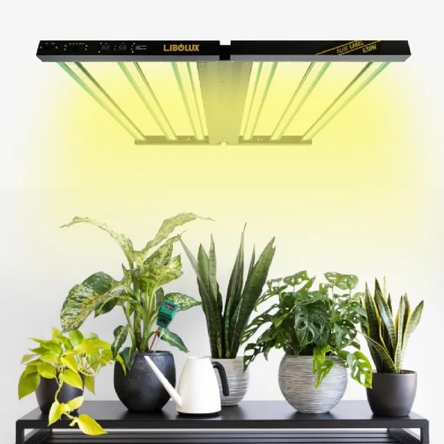 Lucius Digital Lighting Blue Label 630W lampada LED UV IR dimmerabile