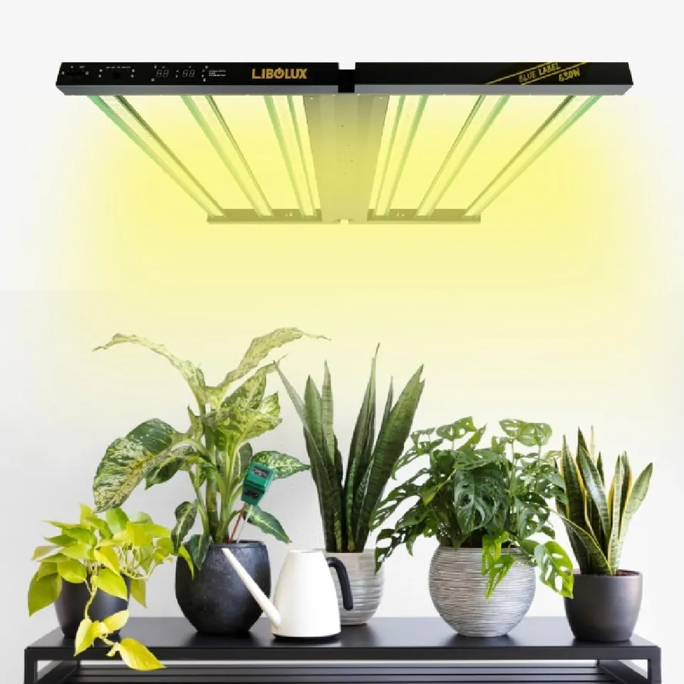 Lucius Digital Lighting Blue Label 630W lampada LED UV IR dimmerabile