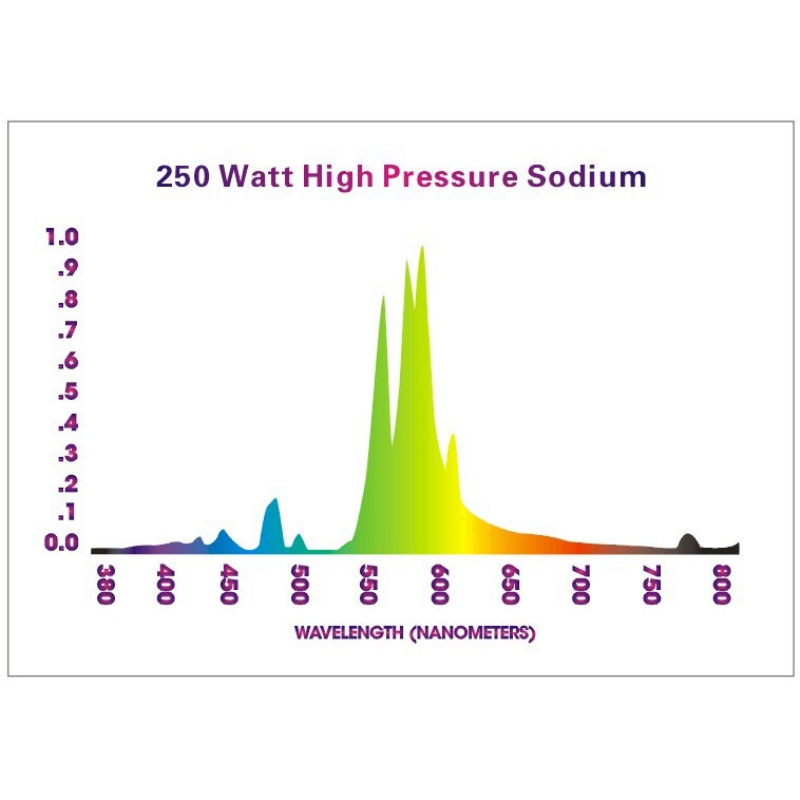 Pure Tent Lampade Pure Light HPS Grow-Bloom Max lampada HPS mista
