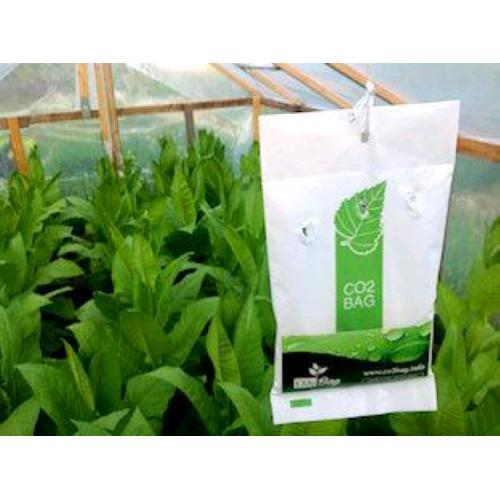 CO2Bag Kit indoor CO2 Bag Busta per il rilascio di CO2 sacchetto CO2