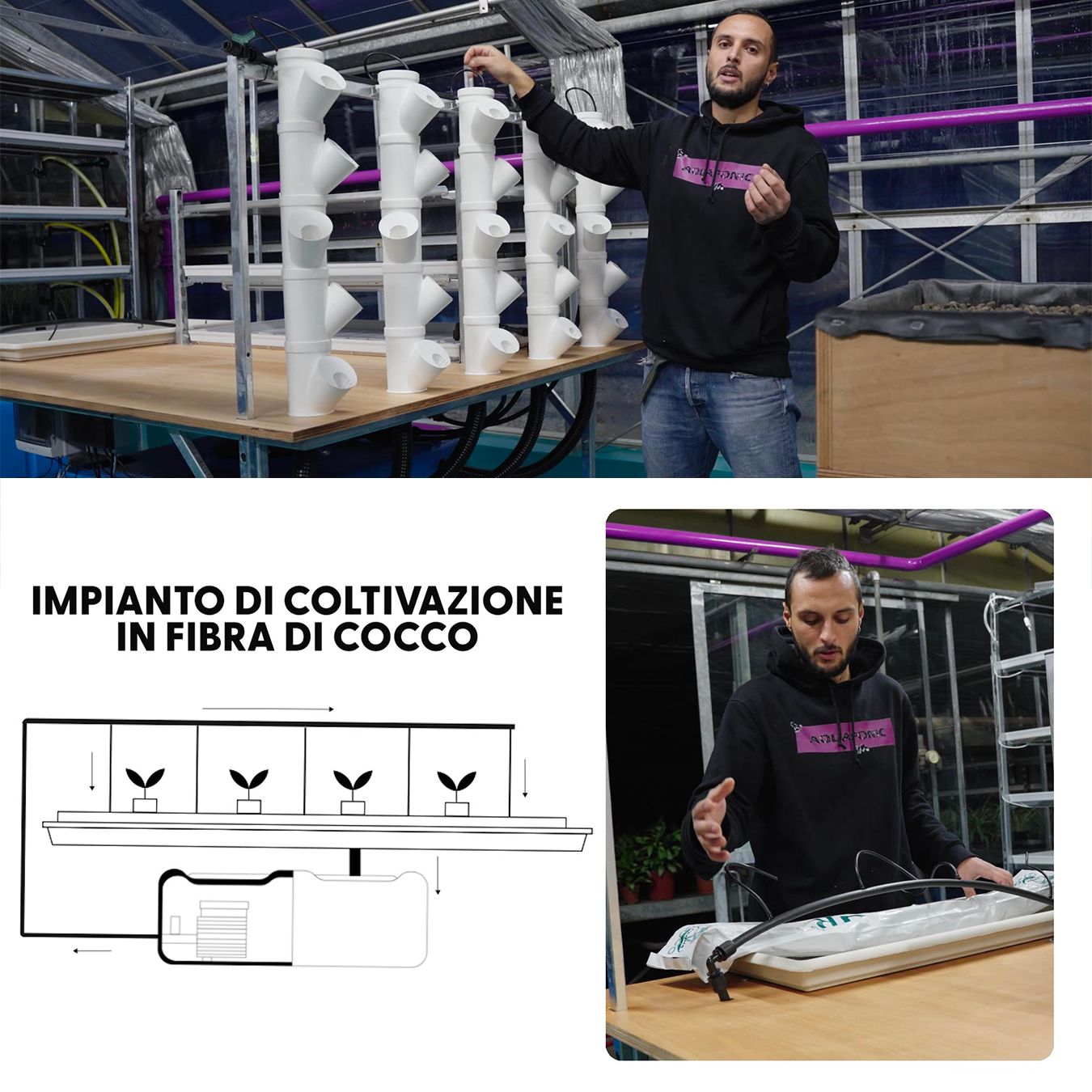 Aquaponic Design Video corsi La guida completa per l’orto idroponico