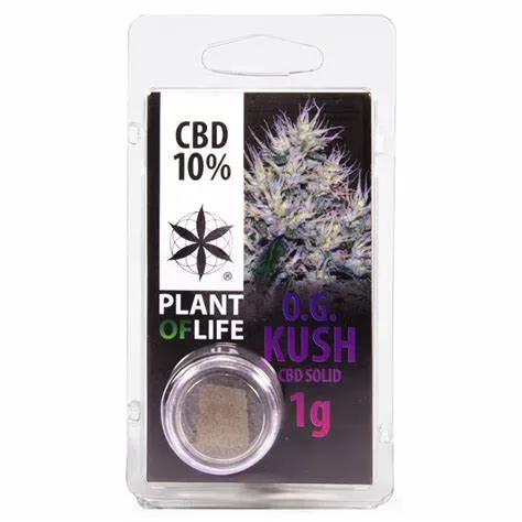 CBD Parafernalia HASH SOLIDO 10% CBD OG KUSH hash solido