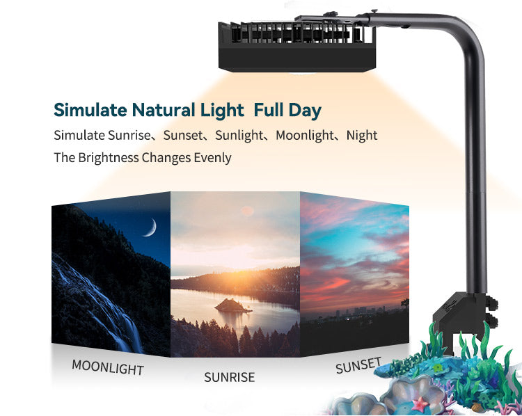CTLite LED Aquarium Light AquaSart G5-95W luce LED acquario 6 canali