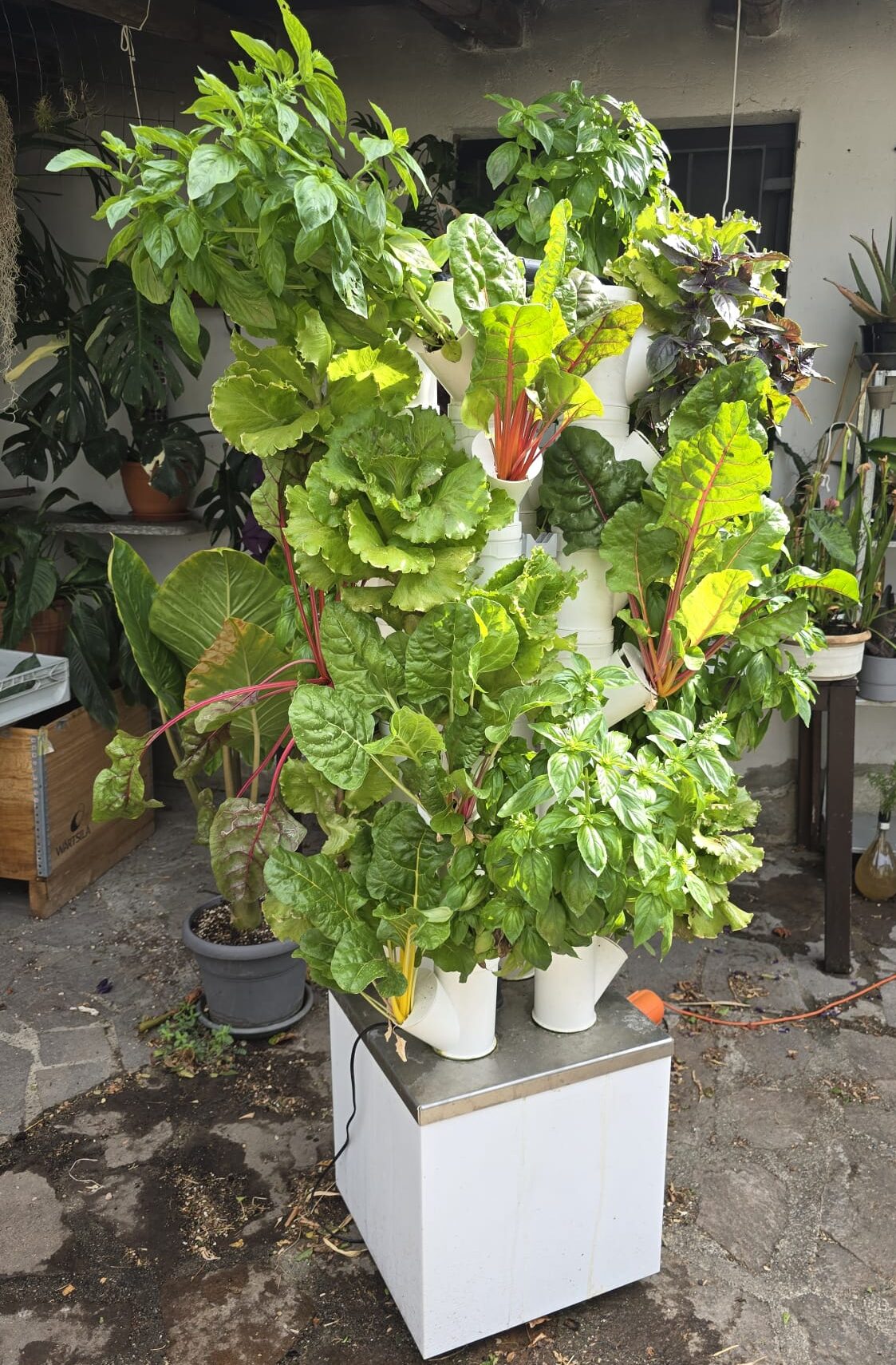 Aquaponic Design Kit idroponica ALE 3.0 orto verticale 28 posti