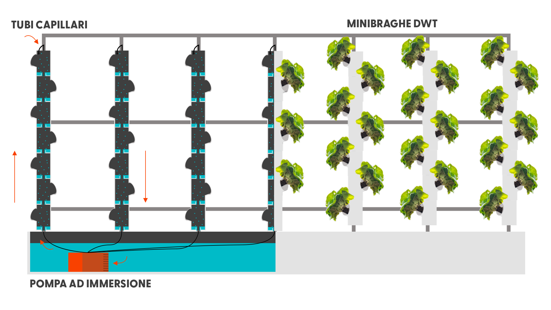 Aquaponic Design Minibraga 2.0 base per torre DWT