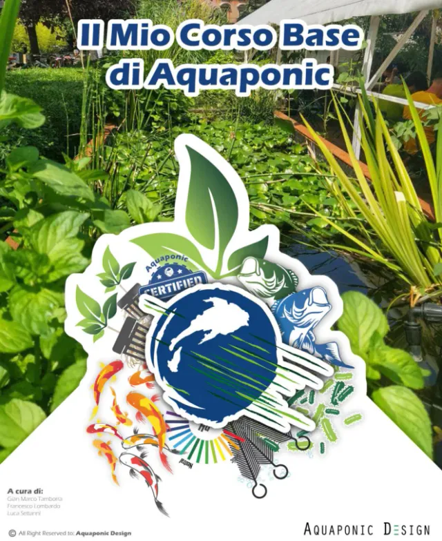 Aquaponic Design Video corsi Corso di aquaponica base