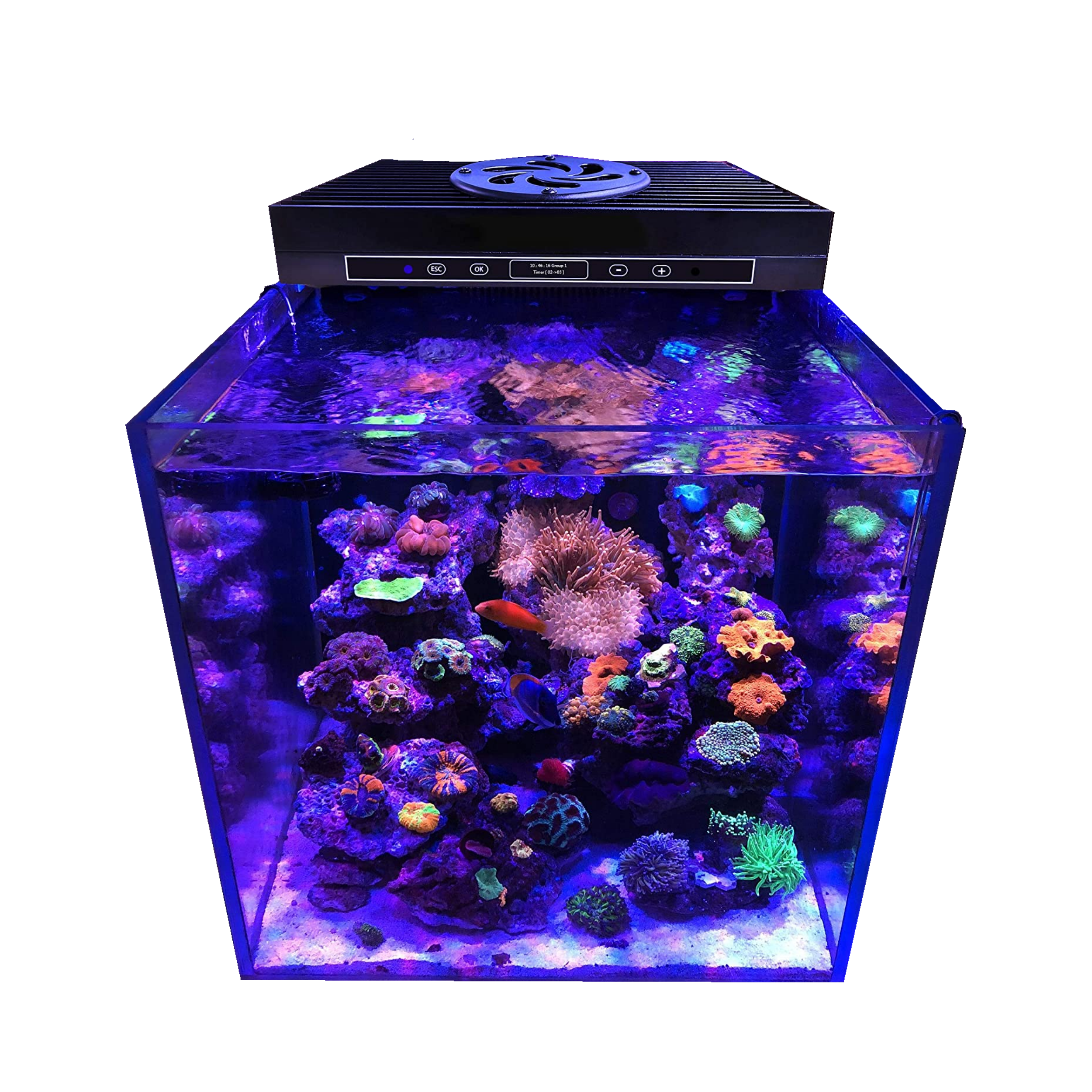 CTLite LED Aquarium Light AquaSart G5-95W luce LED acquario 6 canali