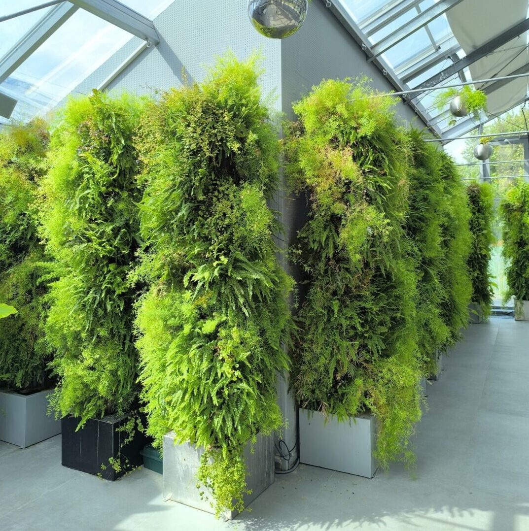 Aquaponic Design Totem DWT Hydroponic tree giardino verticale modulare
