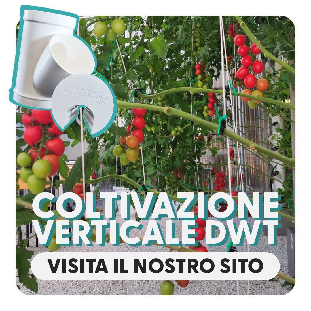 AQUAPONIC DESIGN Kit idroponica Base kit 20 Minibraghe DWT e videocorso