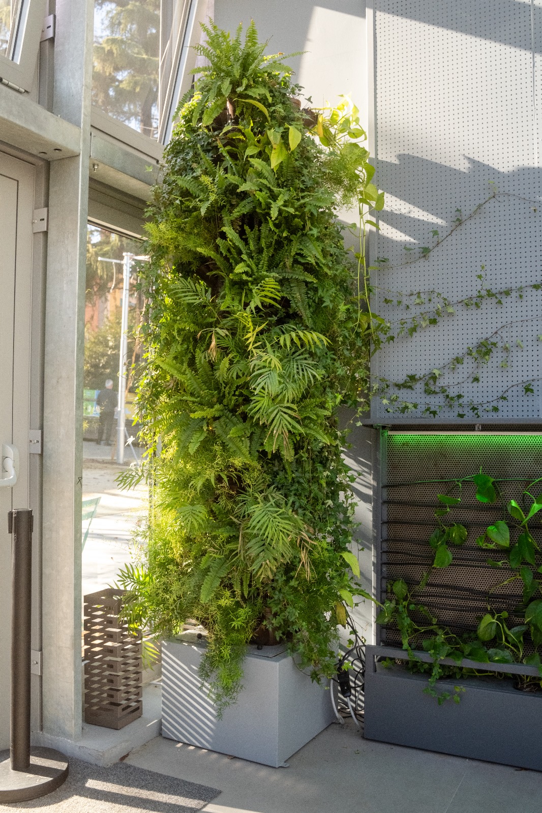 Aquaponic Design Totem DWT Hydroponic tree giardino verticale modulare