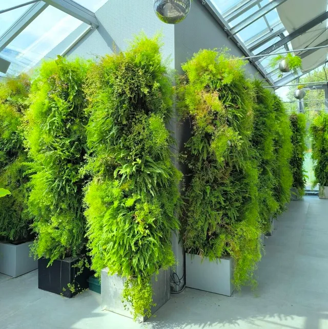 Aquaponic Design Totem DWT Hydroponic tree giardino verticale modulare