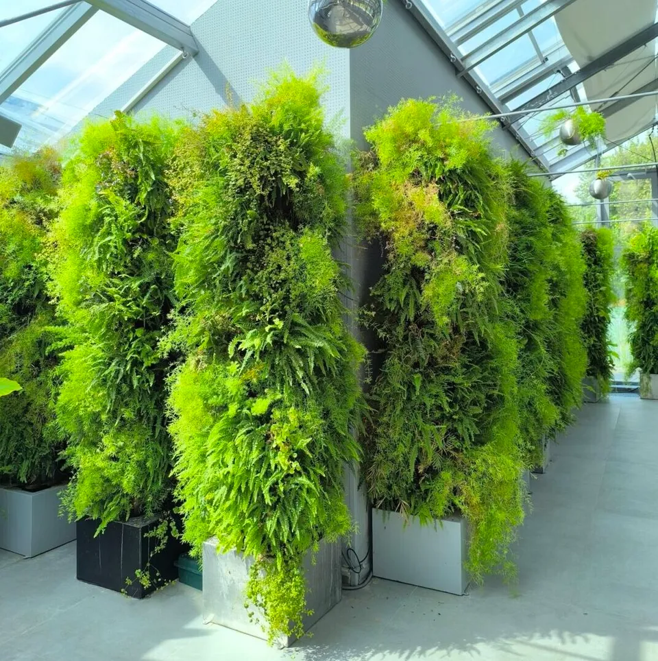 Aquaponic Design Totem DWT Hydroponic tree giardino verticale modulare