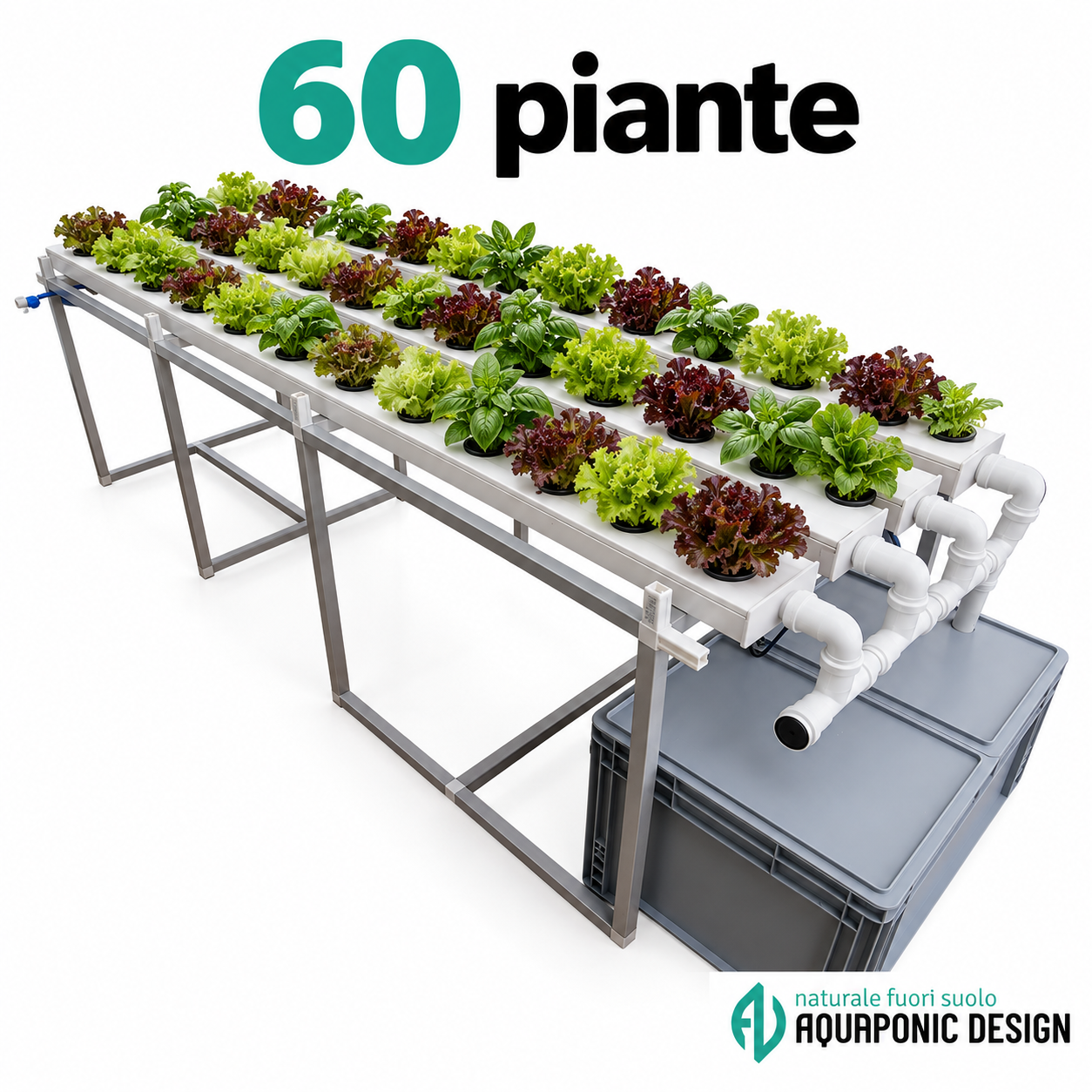 Aquaponic Design Canaline di coltivazione Impianto di idroponica con canaline NFT per 28–60 piante