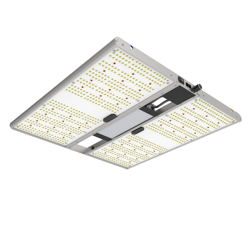 Ortoled Quantum Board EVO lampada LED Samsung 240W 2,7 µmol/J