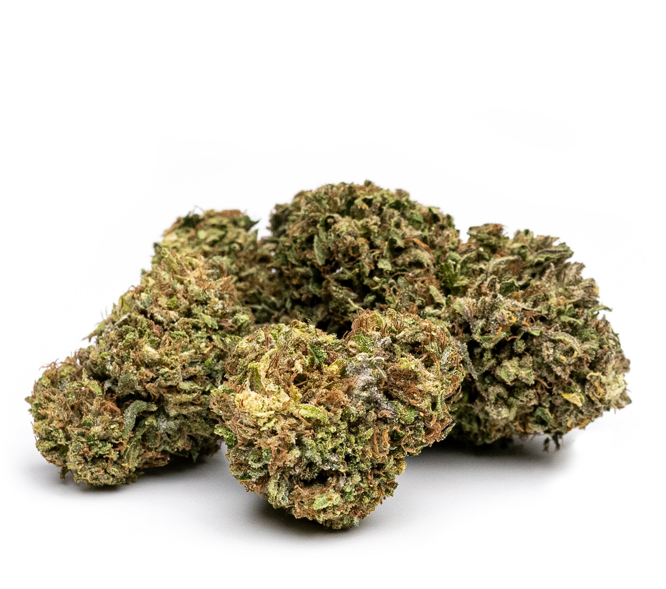 Plantadiscount Number One Cbd infiorescenze 5 g Green House