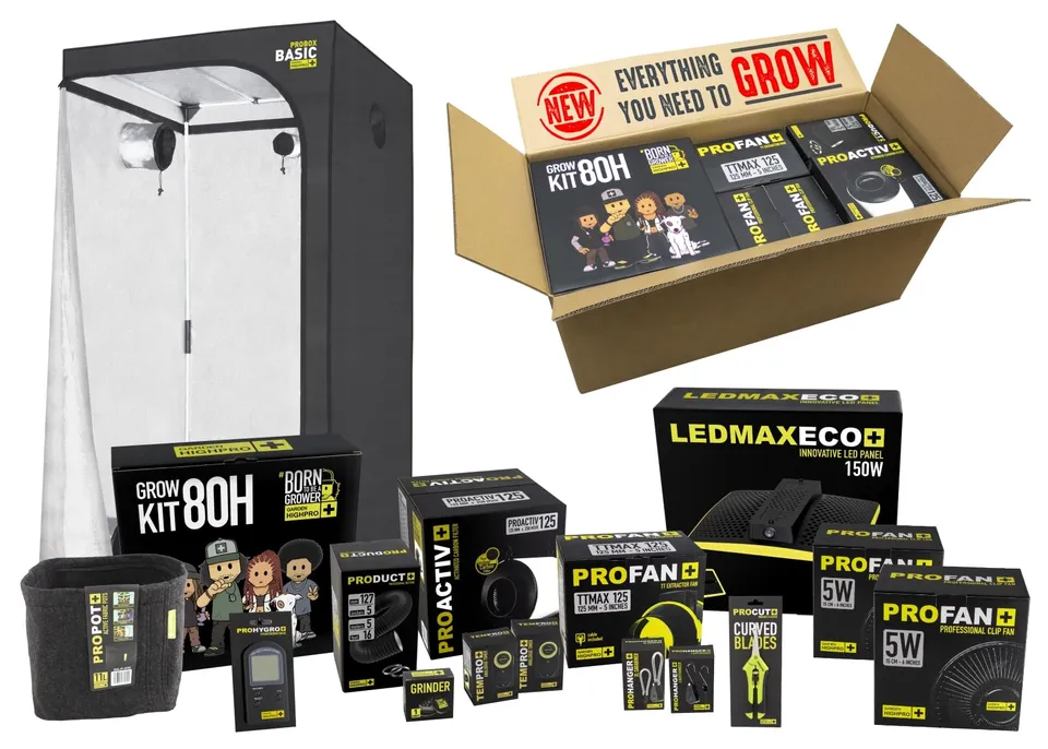 Garden HighPro GROWKIT 80H kit coltivazione indoor 80 x 80 cm LED 150W