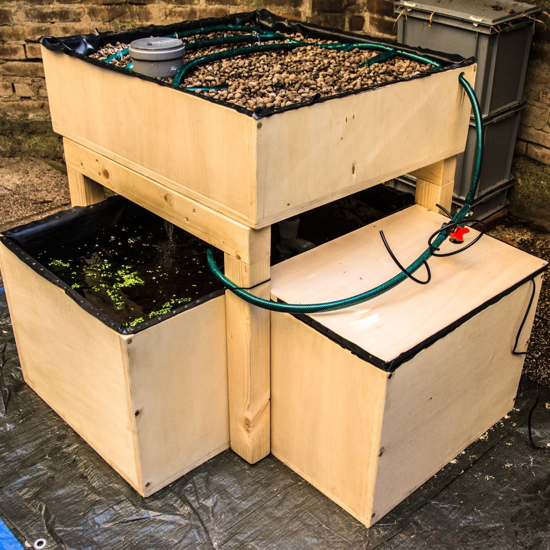 Aquaponic Design Video corsi EBook Diventa un acquaponico guida digitale