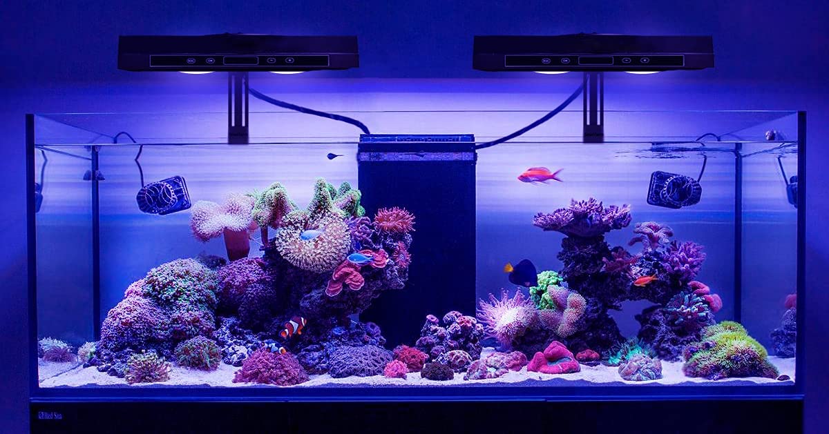 CTLite LED Aquarium Light AquaSart G5-95W luce LED acquario 6 canali