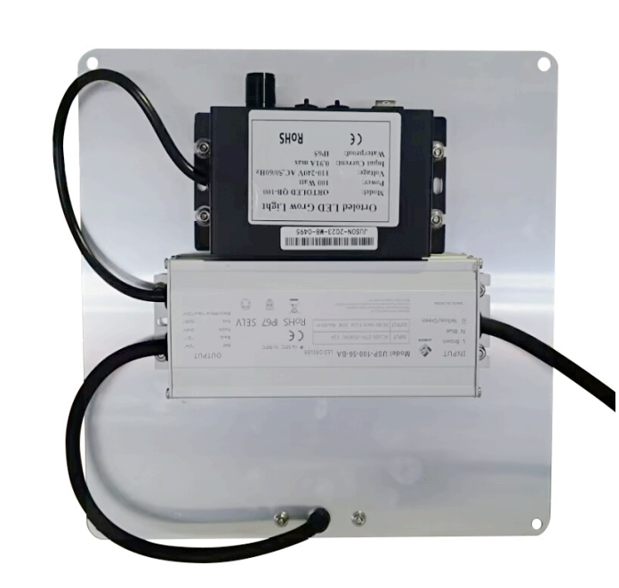 Ortoled Quantum board MINI Little Monster Quantum Board Full Cycle Dimmerabile 100W lampada LED