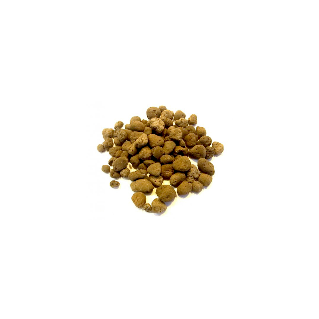 Aquaponic Design Substrati Argilla espansa 8–20 mm drenante