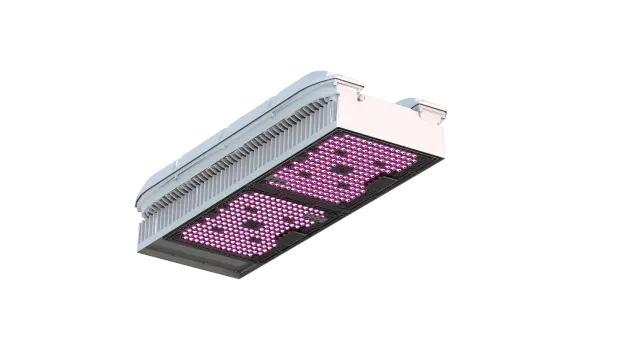 Agrolux WEGA Plus Dual Channel reattore elettronico