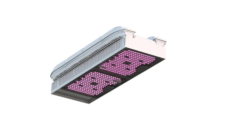 Agrolux WEGA Plus Dual Channel reattore elettronico