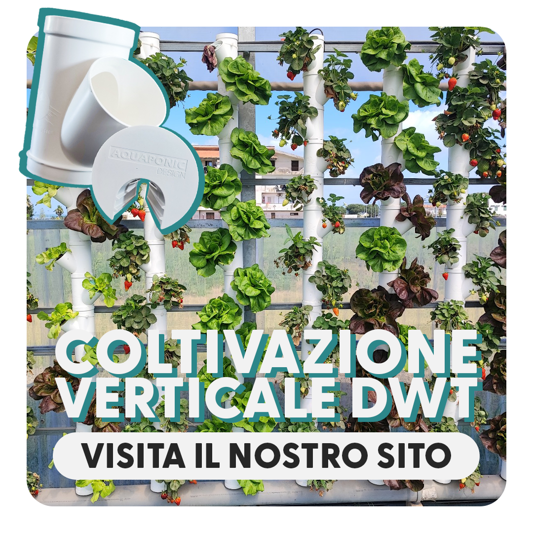 AQUAPONIC DESIGN Kit idroponica Base kit 20 Minibraghe DWT e videocorso