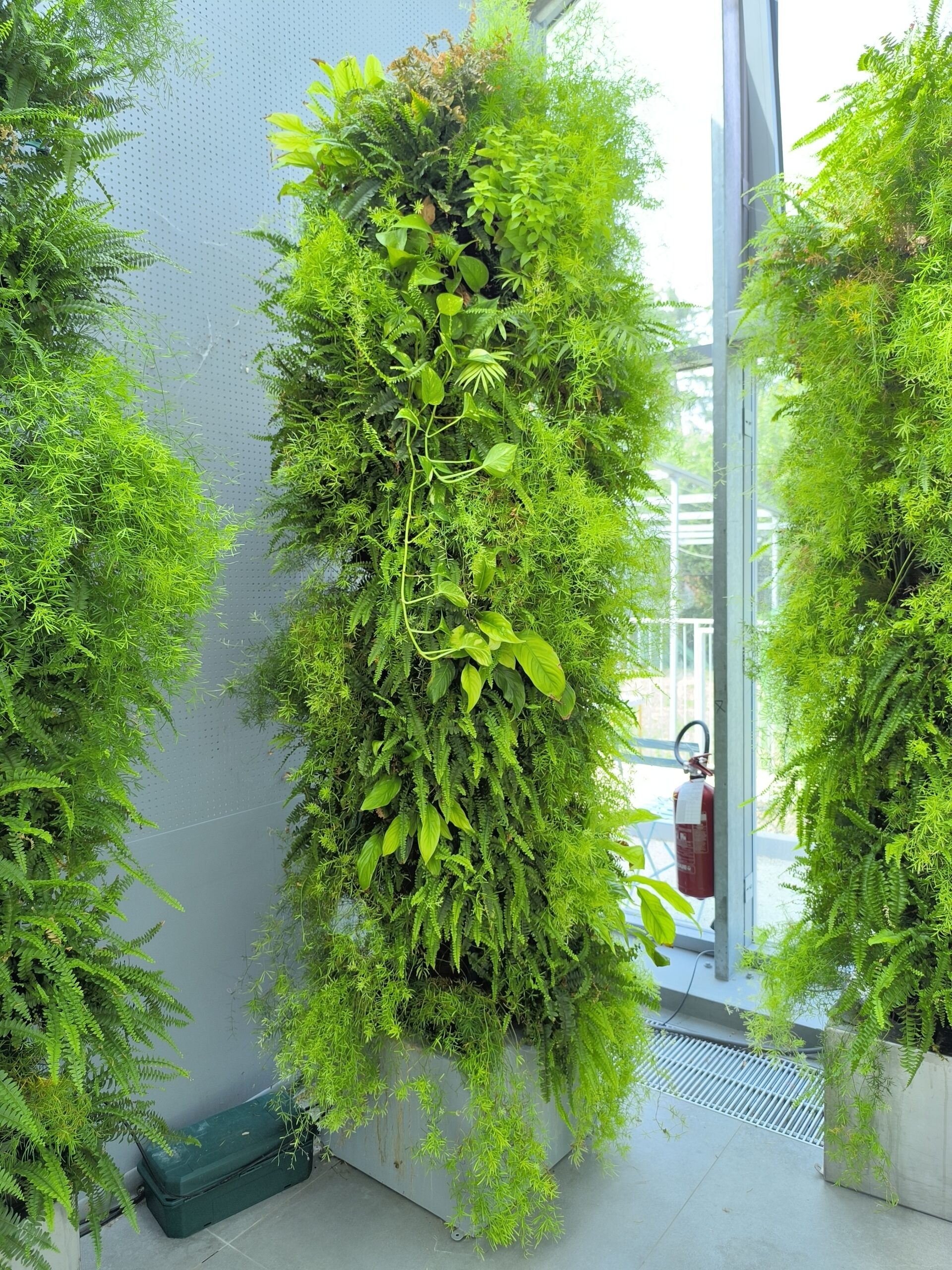 Aquaponic Design Totem DWT Hydroponic tree giardino verticale modulare