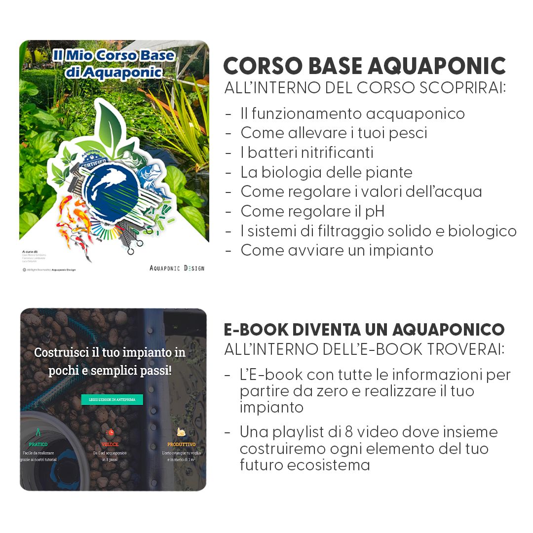 Aquaponic Design Video corsi Pacchetto SCONTATO ACQUAPONICA + BIOLAGHI corsi online