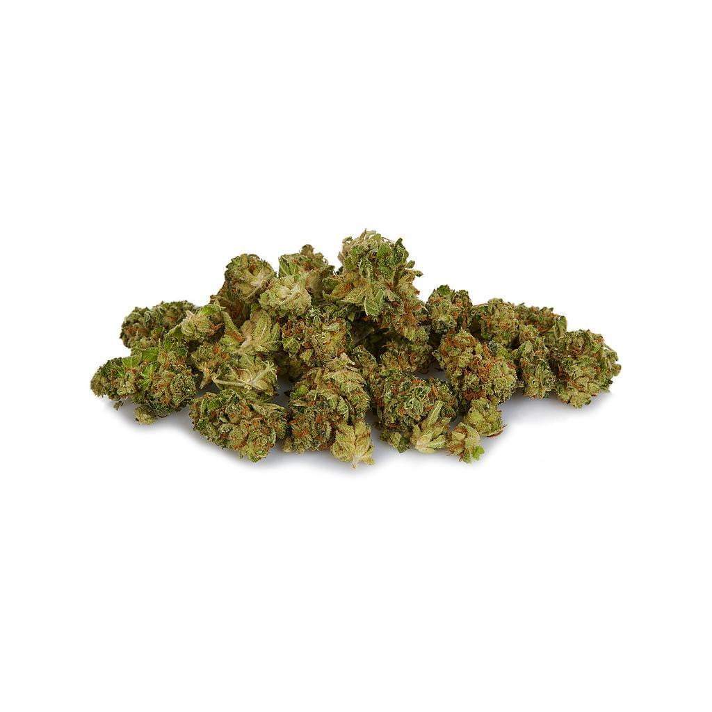 Planta Discount CBD Pop Corn infiorescenze 10 g