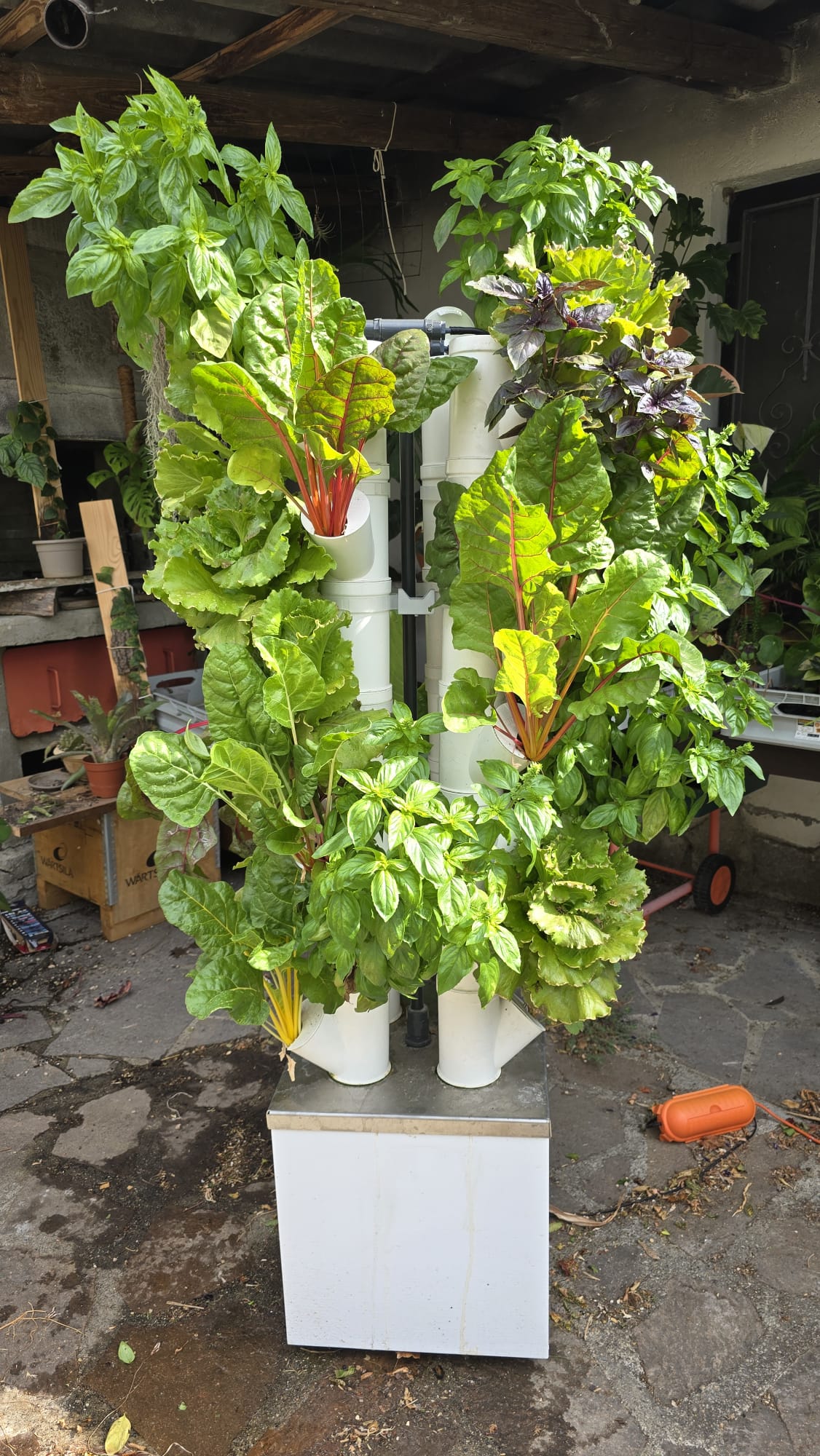Aquaponic Design Kit idroponica ALE 3.0 orto verticale 28 posti