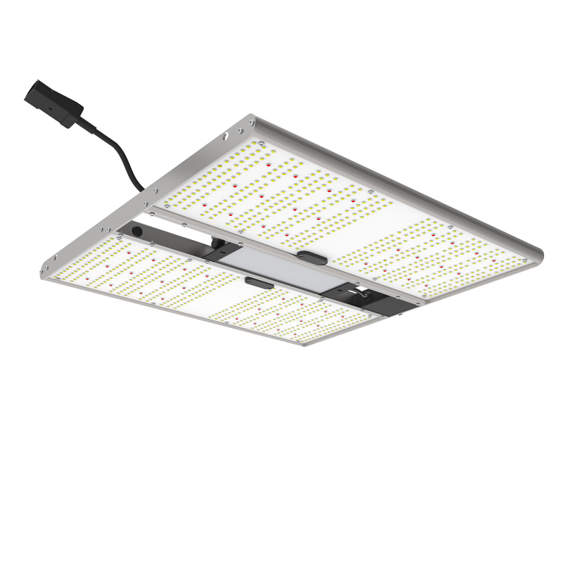 Ortoled Quantum Board EVO lampada LED Samsung 240W 2,7 µmol/J