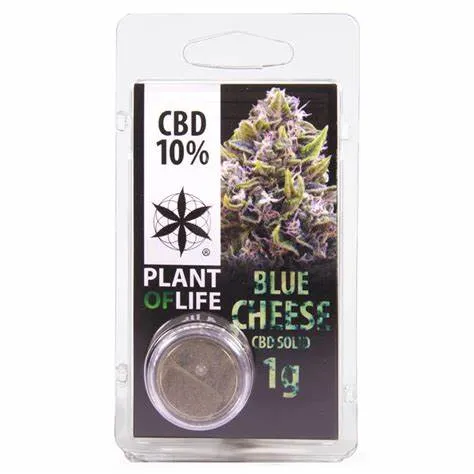 Plantadiscount Cbd HASH SOLIDO 10% CBD BLUE CHEESE hash CBD 10%