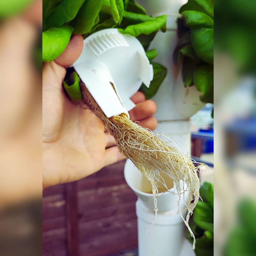 Aquaponic Design Minibraga Vaso universale Deep Water Tower vaso riutilizzabile