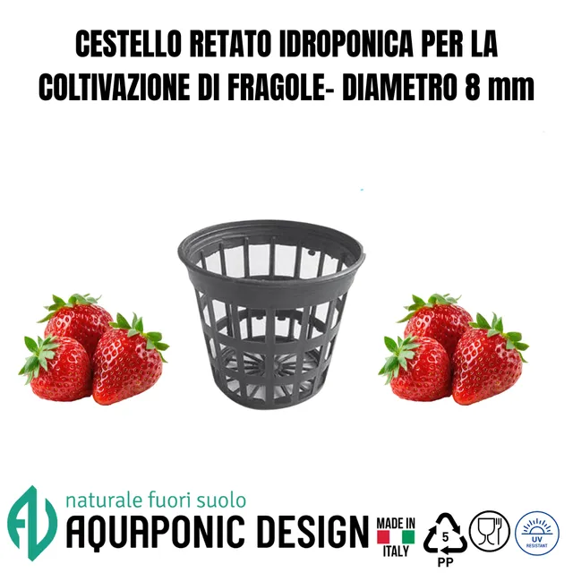 Aquaponic Design Coltivazione in torre Minibraga vaso retato per idroponica diametro 8 cm