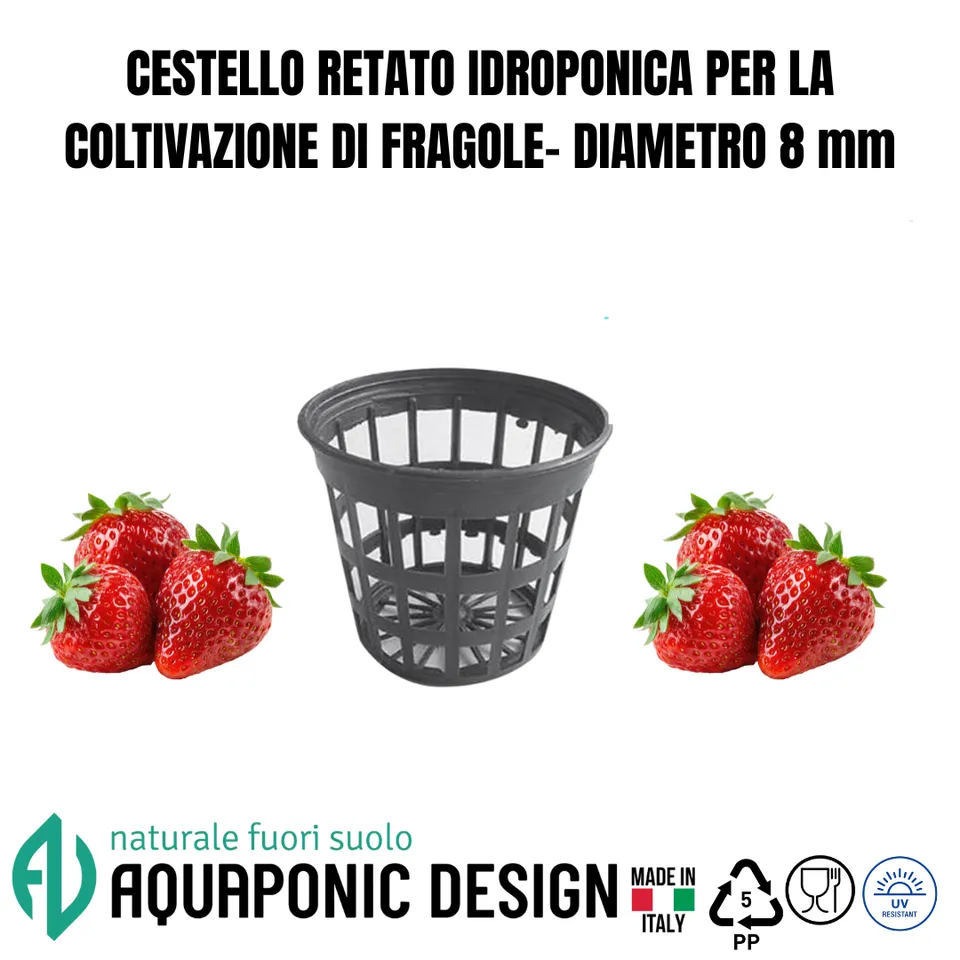 Aquaponic Design Coltivazione in torre Minibraga vaso retato per idroponica diametro 8 cm