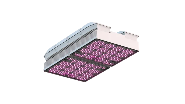 Agrolux WEGA Max Dual Channel reattore elettronico