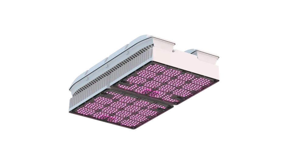 Agrolux WEGA Max Dual Channel reattore elettronico