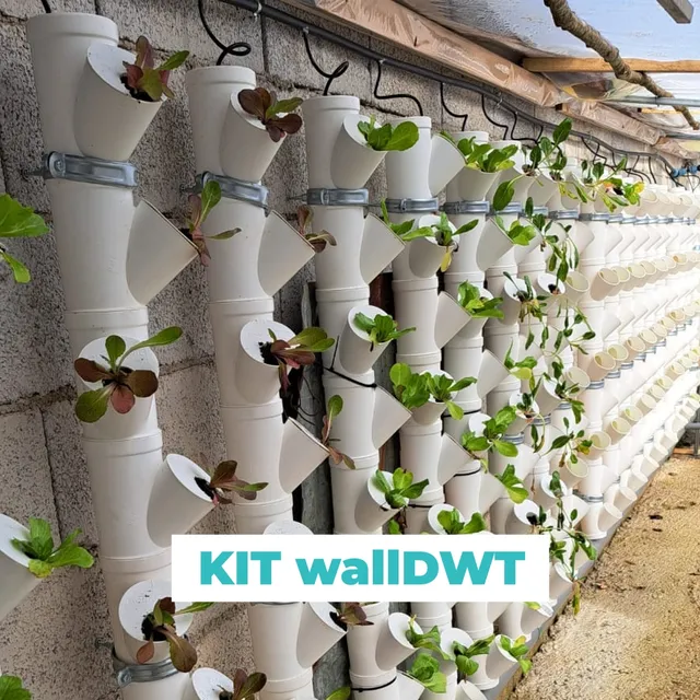 Aquaponic Design Giardini verticali KIT per MURO DWT