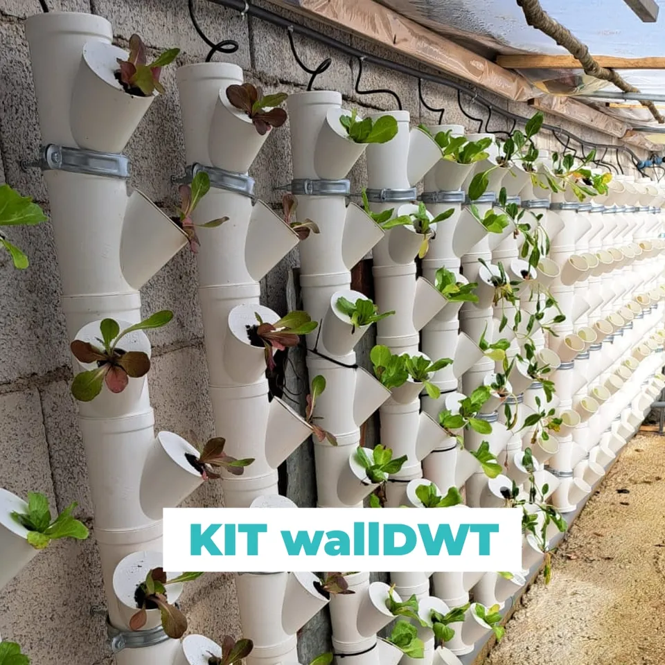Aquaponic Design Giardini verticali KIT per MURO DWT