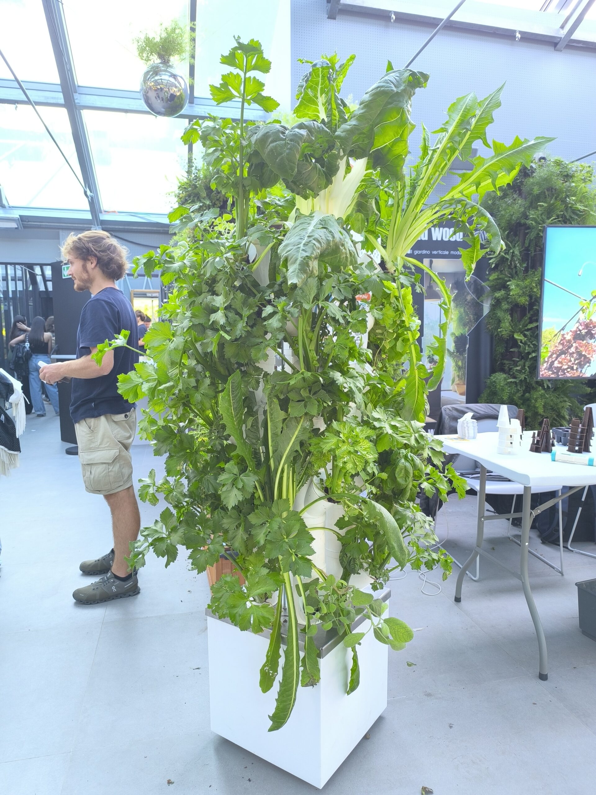 Aquaponic Design Kit idroponica ALE 3.0 orto verticale 28 posti